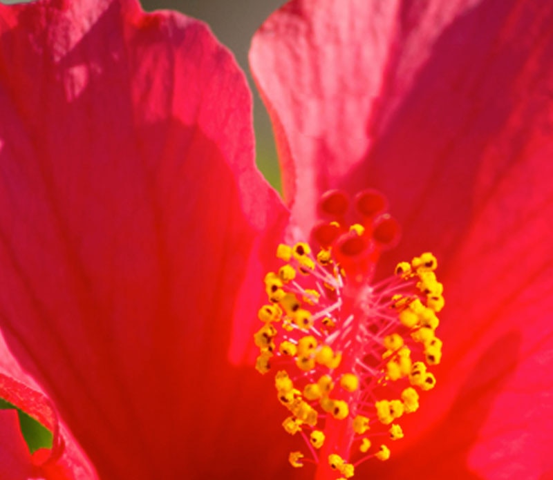 mammography-new-sensory-suite-thumbnails-sensorysuite-stimulating-3-senses_scent-case2.jpg